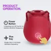 Picture of Rose Toys, Rose Sex Toys Vibrators for Women G Spot Vibrator Partner Toys for Adult Pleasure Stimulator